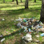 Ближайшая задача - очистить волоколамские леса от мусора