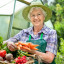 Волоколамские пенсионеры теперь смогут бесплатно торговать продукцией со своих огородов