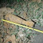 В Волоколамском округе нашли снаряд времён Великой Отечественной войны