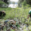 Лесничие очистили берег реки в Осташёве