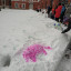 Конкурс рисунков на снегу прошёл в Волоколамском кремле