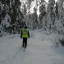 Лесная охрана Волоколамского округа встала на лыжи