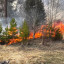 На территории Московской области с 1 мая установлен особый противопожарный режим