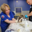 Пострадавшие при пожаре в Волоколамске щенки енотовидной собаки выздоравливают
