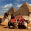 Авиасообщение с Египтом восстановят к началу лета, Турция - бесперспективна