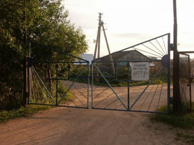 Область снт. СНТ Нептун 1. СНТ Раздолье Волоколамский район. Нептун СНТ Пушкино. Нептун 1 Пушкино-.