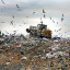 Еще два мусорных полигона закроют в Подмосковье в этом году