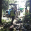 Волоколамские лесники провели субботник по уборке территории лесного фонда