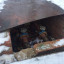 Активисты ОНФ проверили состояние теплотрасс в Московской области