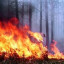 В Волоколамском районе наступает пожароопасный период