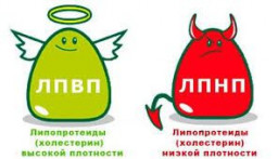 До конца апреля в Земском враче можно сдать липидограмму за 250 рублей