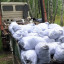 Шесть кубов мусора собрали в лесу близ Осташёво